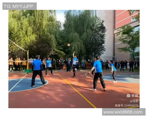 赵军独家篮球心得分享探索技巧与战术提升你的球场表现